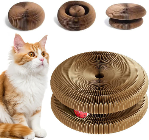 Tu gato entretenido sin esfuerzo
