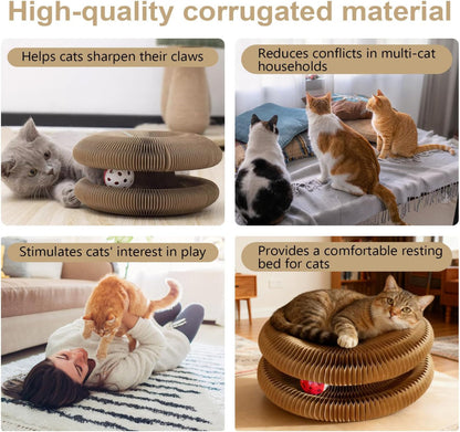 Tu gato entretenido sin esfuerzo